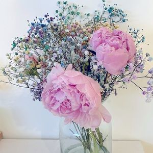 Meet your Posher, Danika